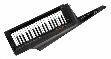 KORG RK100S-2 BK синтезатор-клавиатура | Продукция KORG