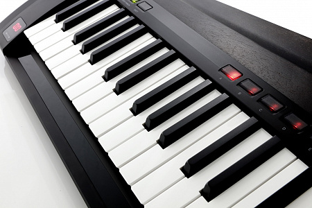 KORG RK100S-2 BK синтезатор-клавиатура