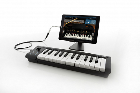 Korg Microkey 25 Midi-клавиатура